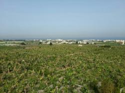 img 20130603 wa0003