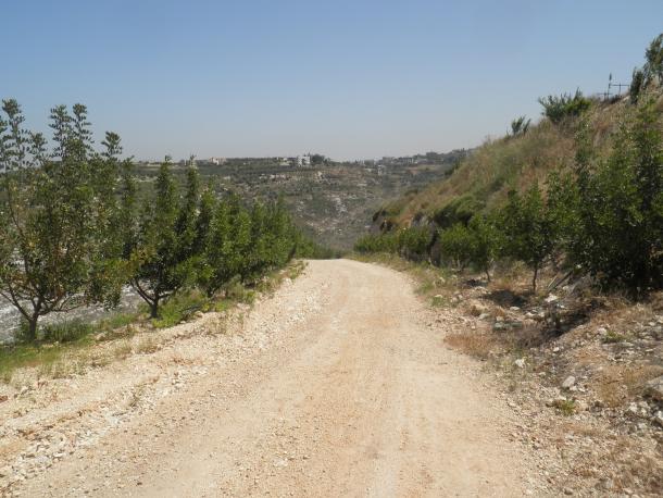p6110047