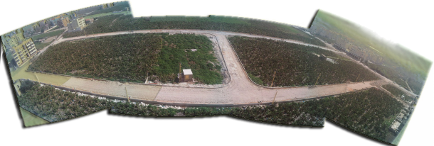 untitled panorama2